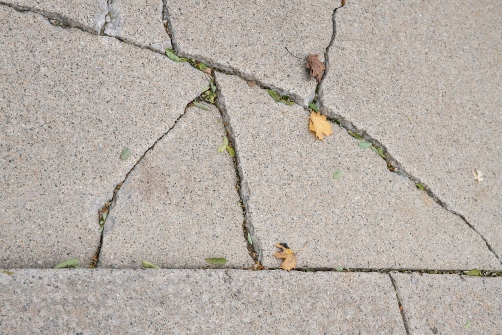 cracked sidewalk