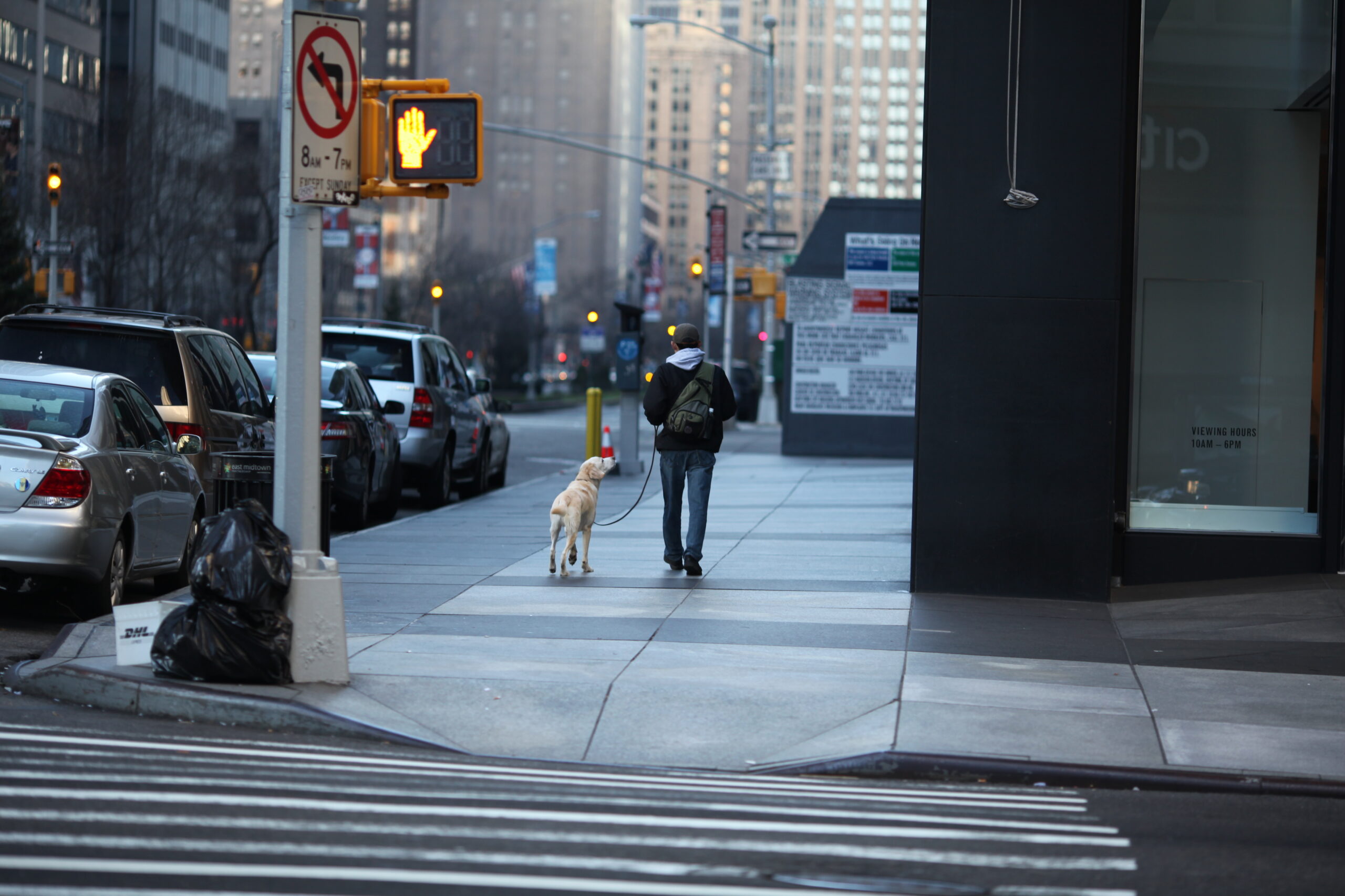 sidewalk man walking his dog