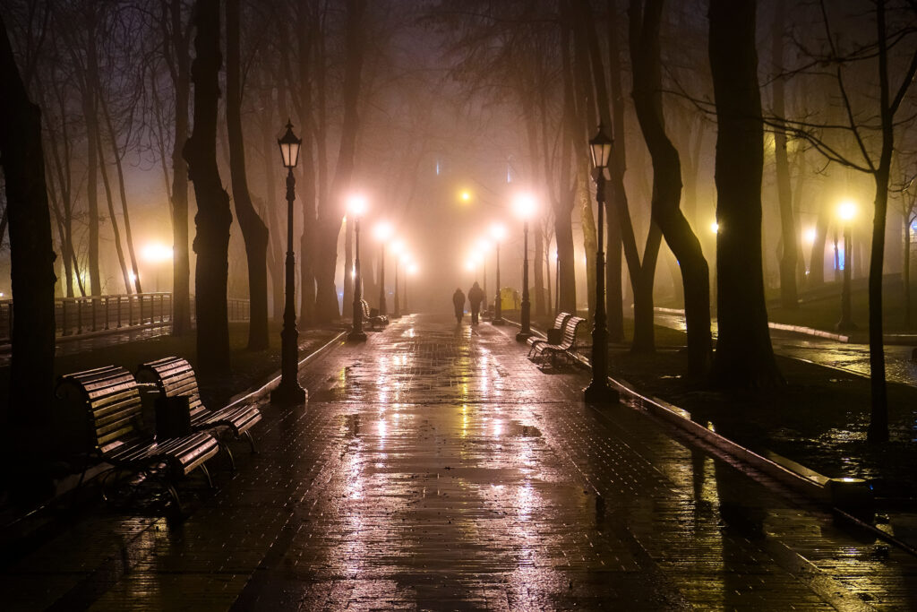 Evening view of the alley in the old park in foggy weather. High quality photo